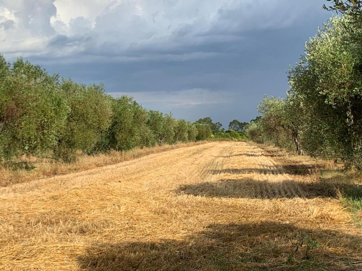 Agriturismo Beveraggio Appartamenti Marina di Grosseto Eksteriør billede